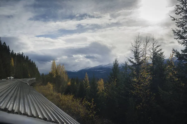 Solig Dag Hösten Skogen Visa Från Ett Tåg — Stockfoto