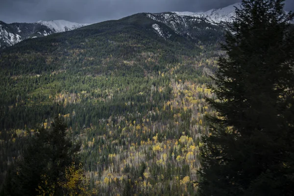 Kar Rocky Dağ Tepe Tarafında Sonbahar Ormanla Kaplı — Stok fotoğraf