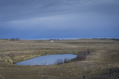 Boş alanları: Manitoba