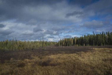 Güzel sonbahar manzara etkileyici bulutlar ile