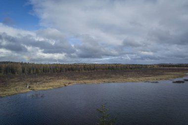 Bir nehir ile sonbahar renkleri orman