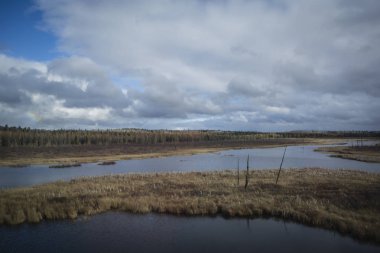 Bir nehir ile sonbahar renkleri orman