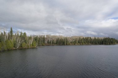 Ağaç sınırı ile sonbahar göl manzaralı