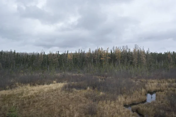 Nehir orman arka ile sonbahar görünümü