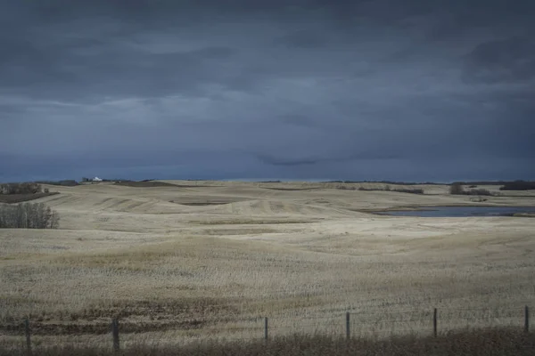 Beautiful fields filled with light in Canada