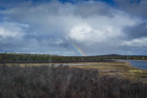 Bosque Colores Otoñales Con Río Arco Iris — Foto de Stock