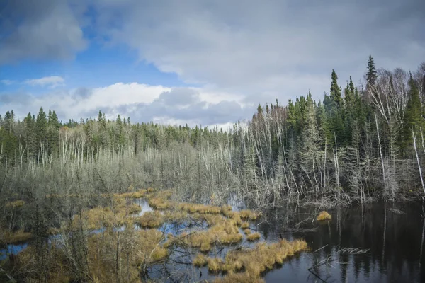 Sonbahar renkleri ile bir güzel nehir manzara