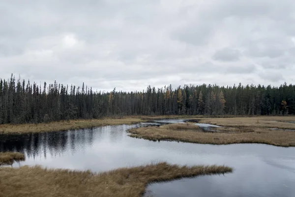 Bir göl sonbahar orman