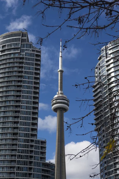 Toronto Skyscrapers View Autumn — Stock Photo, Image