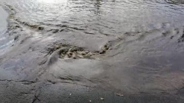 Yağmurdan sonra Flood. Felaket.