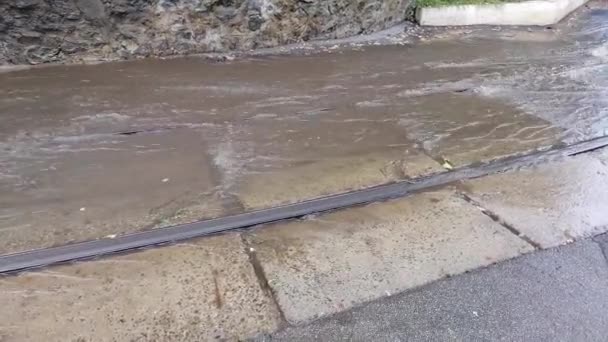 Alluvione Dopo Pioggia Disastro — Video Stock