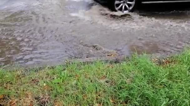 Πλημμύρα Μετά Βροχή Καταστροφή — Αρχείο Βίντεο