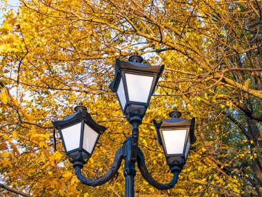 Sonbahar yeşilliklerinin arka planında dekoratif lambalar.