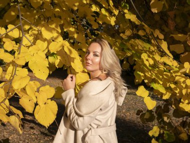 Sarı sonbahar yeşilliklerinin arka planında sarışın bir kız..