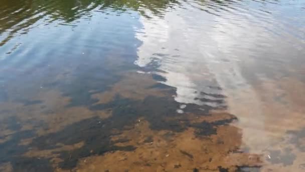 Відображення Неба Хмарами Річковій Воді Природа — стокове відео