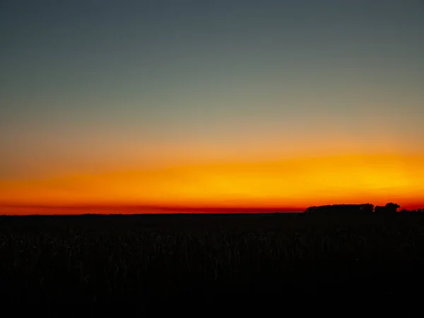 Pôr do sol ensolarado vermelho no horizonte . — Fotografia de Stock