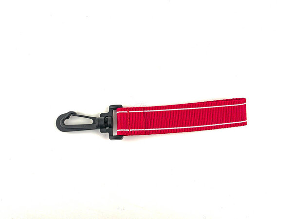 Plastic carabiner on a white background.