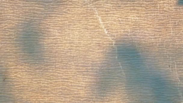 Tekstur Kain Dengan Bayangan Daun Pohon Bawah Sinar Matahari Gambar — Stok Video