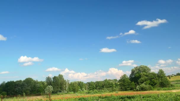 蓝天与云彩在地平线上的自然景观 飘浮的云彩 夏天的季节森林和田野 绿色的草地 地平线上的树 从窗户往外看欣赏这风景 — 图库视频影像