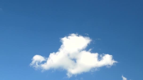 Céu Azul Com Nuvens Brancas Luz Sol Nuvens Flutuantes Temporada — Vídeo de Stock