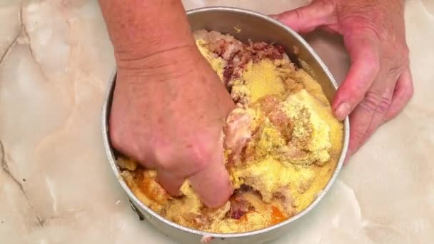 Mixing Minced Meat Your Hands Make Cutlets Food Photo Culinary — Stock Video