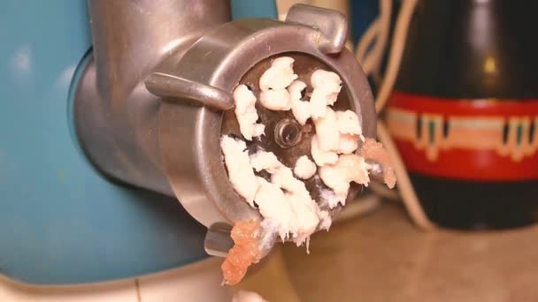 Elektrikli Öğütücüsünde Domuz Yağı Bükmek Yemek Fotoğrafı Mutfak Tarifi Bulaşık — Stok video