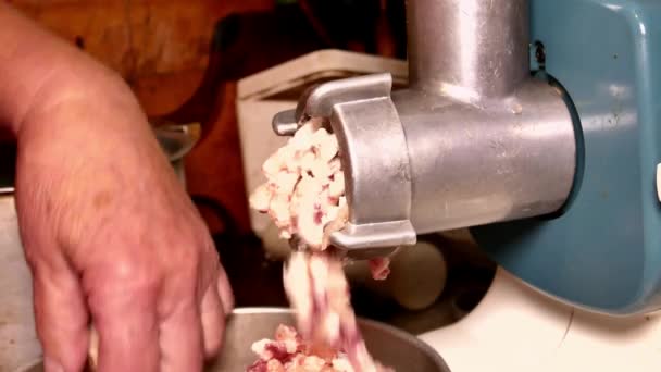 Torcer Carne Picada Una Picadora Carne Eléctrica Foto Comida Receta — Vídeos de Stock
