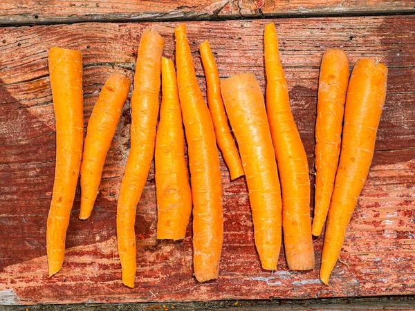 The vegetable carrot lies on a wooden table. Food photo. Harvesting. Farm. Agriculture. Advertising photo of a shop window of a vegetable store. Place for text. Template. Poster. Cooking food.