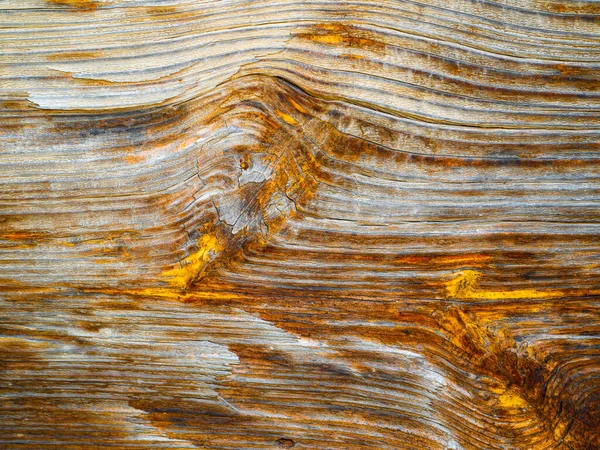 The texture of the longitudinal section of wood with knots. Background image. Place for text. Template. Poster. Wood processing industry. Old wooden board. Deforestation.