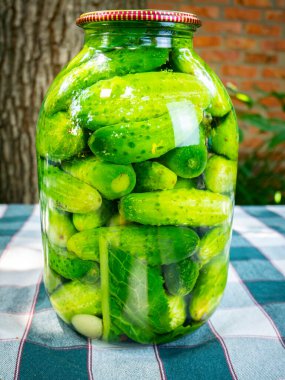 Masadaki cam kavanozda salatalık konservesi. Yemek fotoğrafı. Tarım. Çiftlik. Vitrin fotoğrafı. Salatalıkların korunması. Sebze turşusu.