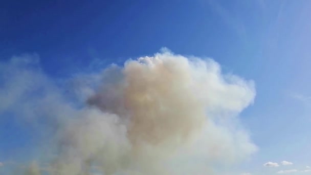 The smoke of a forest fire against the blue sky. — Stock Video