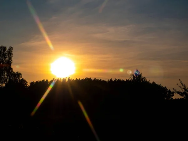 Rayos Del Atardecer Horizonte Del Bosque Nublado Cielo Nocturno Fondo — Foto de Stock