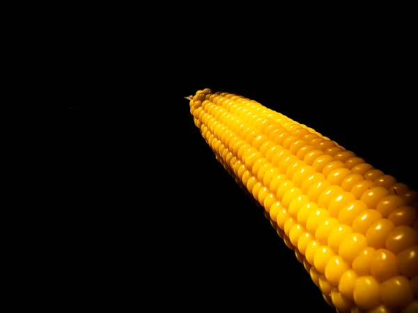Sárga Kukorica Hinta Fekete Háttérrel Főtt Kukorica Szüret Mezőgazdaság Ételfotó — Stock Fotó