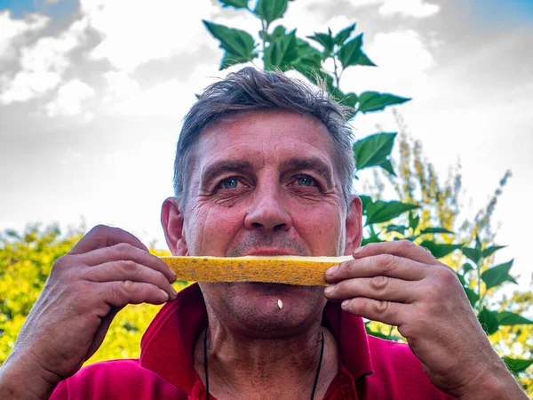 Hombre Está Comiendo Melón Amarillo Maduro Foto Comida Cultivo Melón — Foto de Stock