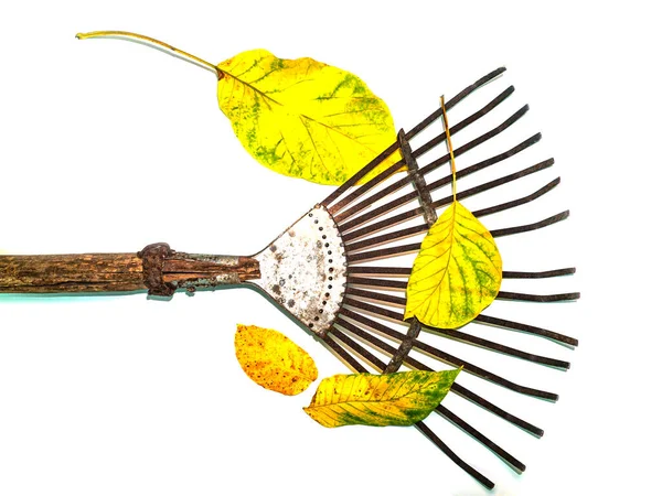 Iron fan for cleaning leaves hand tools. Agricultural activities. Farmer. Rake the foliage of trees. Hand tools. White background. Place for your text. Background image. — Stock Image Iron Fan Cleaning Leaves Hand Tools Agricultural Activities Farmer Rake Stock Picture