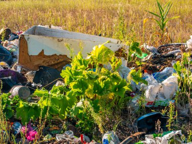 Doğaya izinsiz ev atıkları atılması. Çöp yığını. İnsan aktiviteleri. Ekolojik felaket. Polietilen ve plastik atık. Çevresel koruma. Arkaplan resmi.