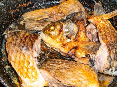 Balık haçlısı sazan tavada kızarır. Tatlı su balığı sazan balığı. Bulaşık menüsü. Balık avı. Yemek pişirmek. Ev mutfağı. Mesajın için yer aç. Arkaplan resmi. Beyaz arkaplan.