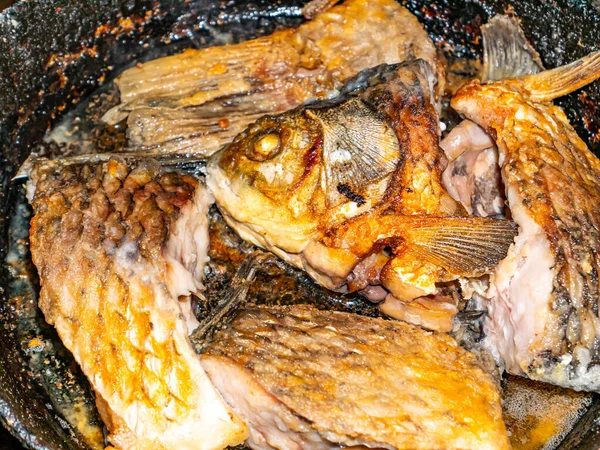Balık haçlısı sazan tavada kızarır. Tatlı su balığı sazan balığı. Bulaşık menüsü. Balık avı. Yemek pişirmek. Ev mutfağı. Mesajın için yer aç. Arkaplan resmi. Beyaz arkaplan.