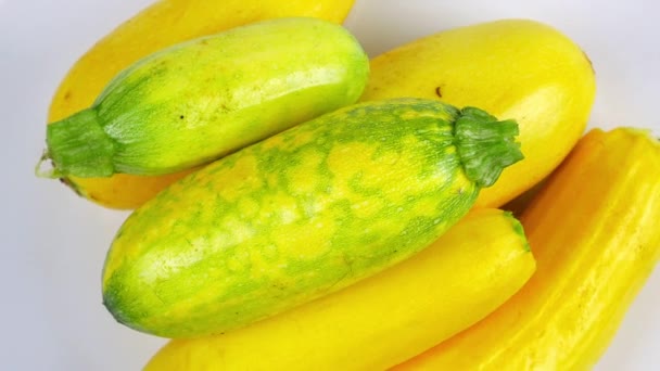 Zucchinigrönsaker Roterar Cirkel Zucchiniskörd Vegetabilisk Mat Vegetarisk Mat Hemkök Jordbruk — Stockvideo