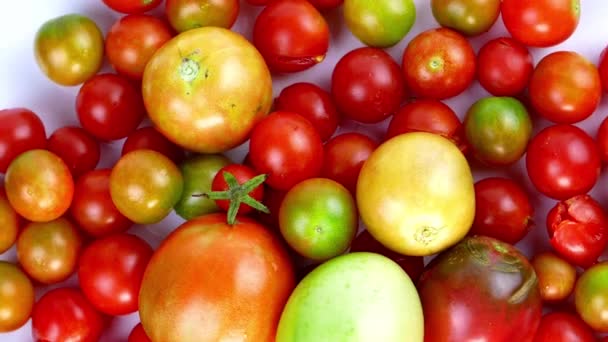 Verduras Tomate Giram Círculo Colheita Tomate Comida Vegetal Comida Vegetariana — Vídeo de Stock