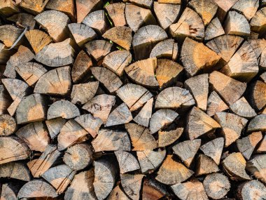 Kırsal bir evi ısıtmak için baltayla doğranmış odun. Odun sobası. Isıtma mevsimi. Çam ormanı. Endüstriyel kesim. Bıçkıhane. Çam testeresi. Çevresel koruma. Ekoloji. Metin için yer.