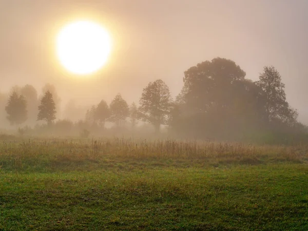 Восход Солнца Над Лугом Утреннем Тумане Утренний Рассвет Дерувия Густом — стоковое фото