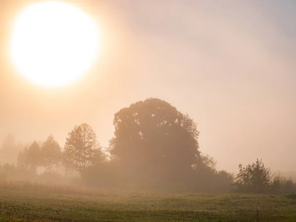 Sonnenaufgang Über Der Wiese Morgennebel Morgensonnenaufgang Deruvia Dichten Nebel Flugverbot — Stockfoto