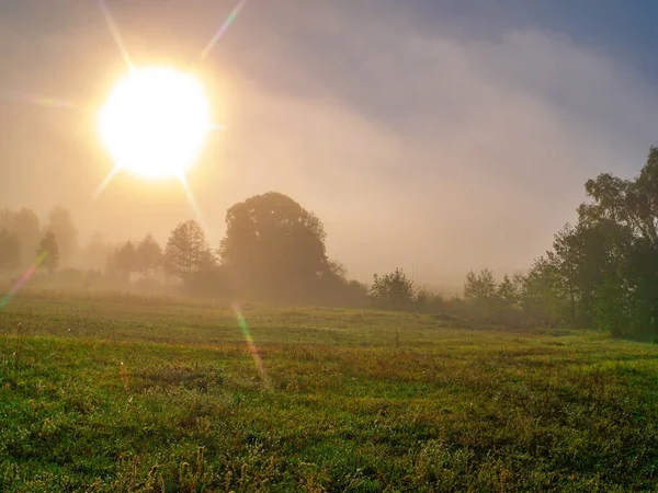 Восход Солнца Над Лугом Утреннем Тумане Утренний Рассвет Дерувия Густом — стоковое фото