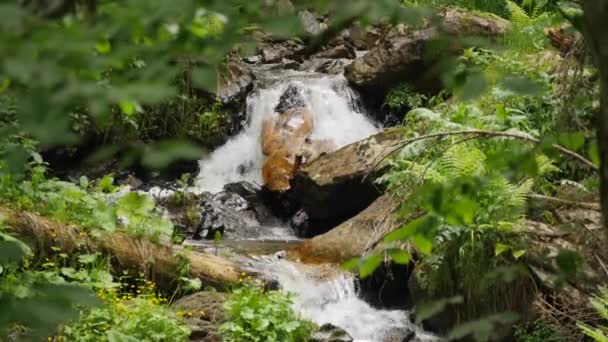 Slomotion caída de agua de cerca — Vídeos de Stock