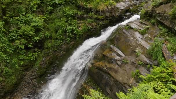 Slowmotion waterfalling v horském lese — Stock video