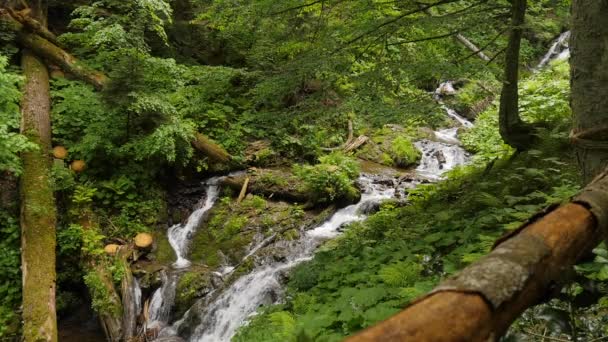 Cascada en medelikha parque slomotion largo tiro — Vídeos de Stock