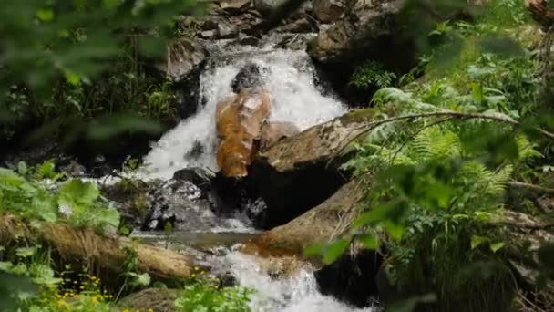 Close up of waterfall threshold at medelikha park — Stock Video