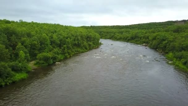 Brote aéreo de río limpio en bosques verdes y colinas en áreas silvestres de la península de Kola — Vídeos de Stock
