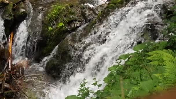 Caudal de agua cerca de una pequeña caída de agua — Vídeos de Stock